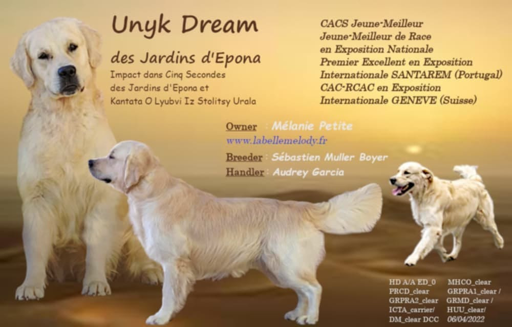 Unyk Dream des Jardins d Epona